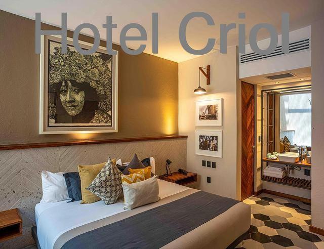 Hotel Criol كويريتارو المظهر الخارجي الصورة