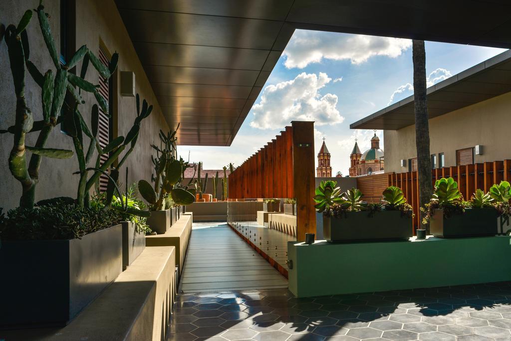 Hotel Criol كويريتارو المظهر الخارجي الصورة The rooftop garden